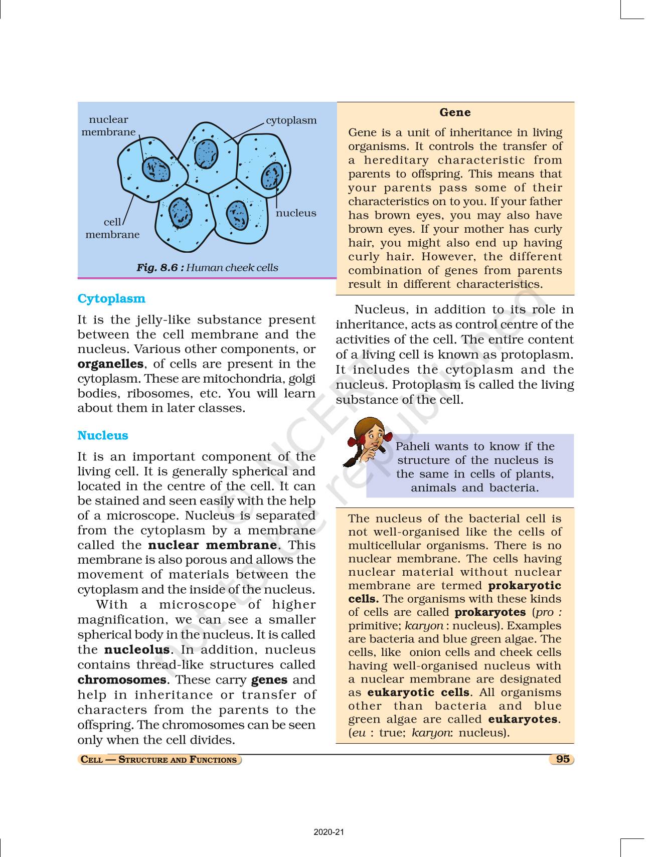 Cell Structure And Functions - NCERT Book Of Class 8 Science